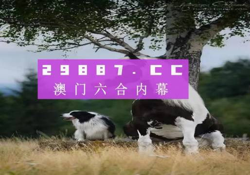 澳门天天好好兔费资料,澳门天天好好兔费资料，探索与发现