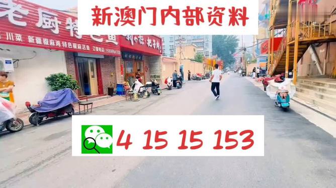 2004新澳门天天开好彩大全一,探索新澳门，2004年天天开好彩的奥秘与魅力