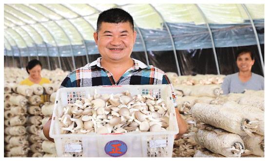 2025新澳门原料免费大全,澳门原料免费大全，探索未来的机遇与挑战（2025展望）