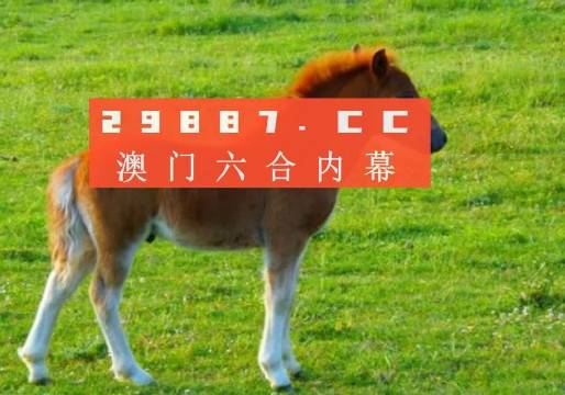 澳门一肖一码一必中一肖,澳门一肖一码一必中之奥秘揭秘