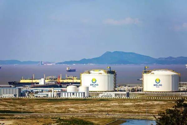 2025新奥资料免费公开,迈向未来，2025新奥资料免费公开的时代