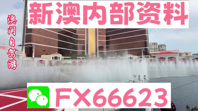 新澳内部一码精准公开,新澳内部一码精准公开，揭秘真相与探索价值