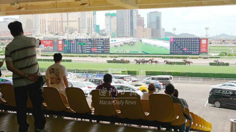 2025澳门买马最准网站,关于澳门买马最准网站的探讨与警示