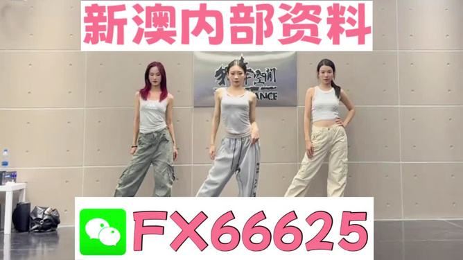 管家婆必出一中一特,管家婆的神秘预言，一中一特的必然之旅