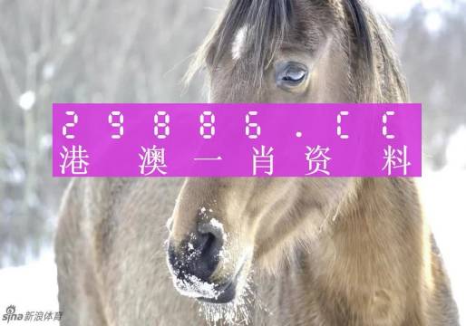 资讯 第435页