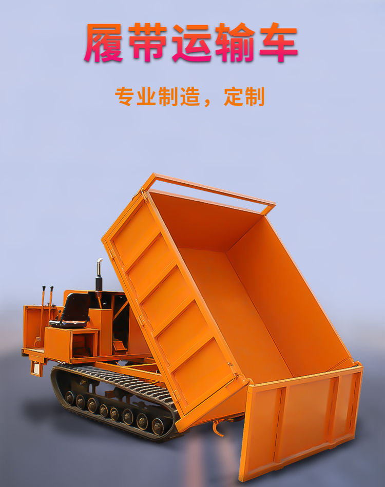 2025澳门四不像图最新消息,澳门新视界，探索四不像图的最新动态与未来展望（2025年视角）
