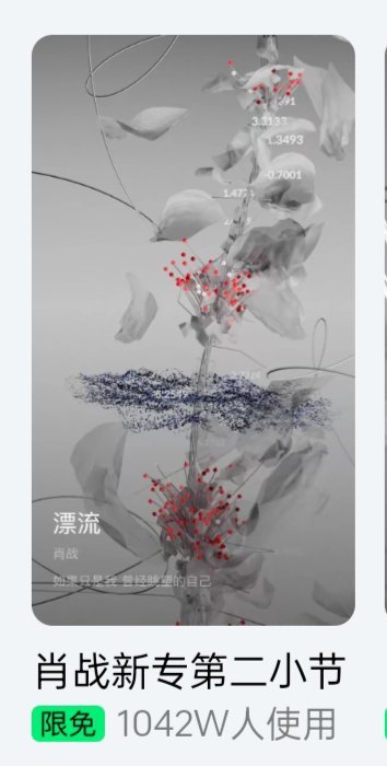 一肖一码一一肖一子,一肖一码一一肖一子的神秘世界