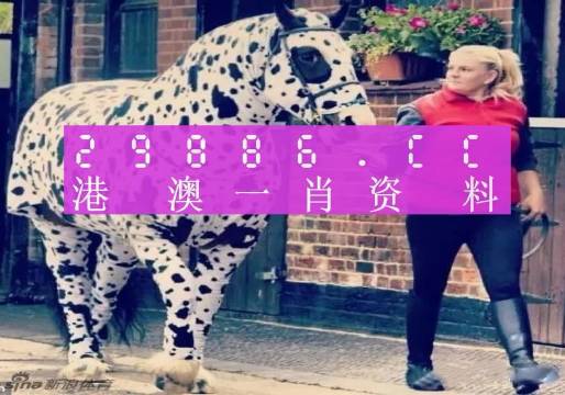 最准一肖一码一一香港澳王一王,探寻最准一肖一码，香港澳王一王的神秘面纱