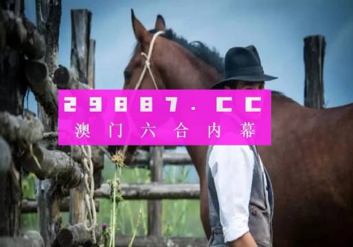 澳门精准一肖一码一一中,澳门精准一肖一码一一中的奥秘与探索
