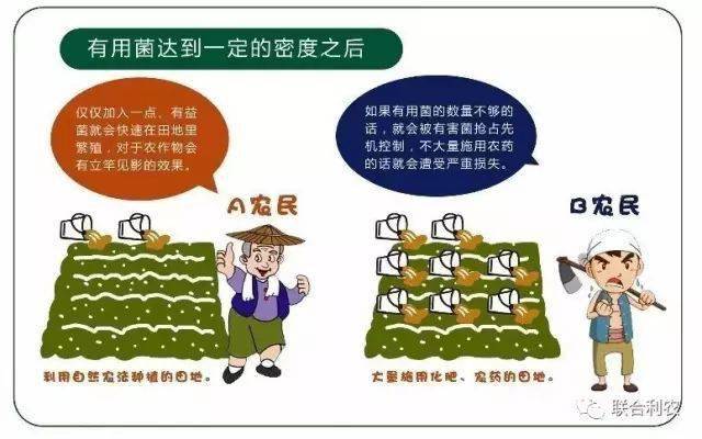 管家婆最准一码一肖,揭秘管家婆最准一码一肖的神秘面纱