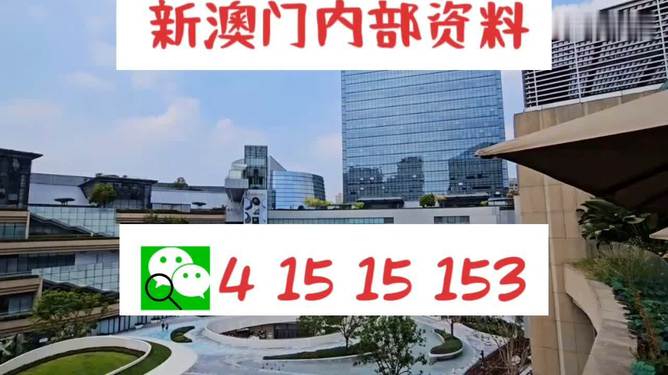 新澳门内部一码精准公开,新澳门内部一码精准公开的全新篇章
