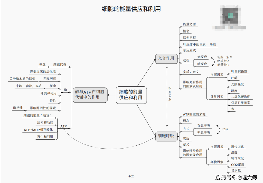 黄大仙三肖三码必中三,揭秘黄大仙三肖三码，探寻必中之秘
