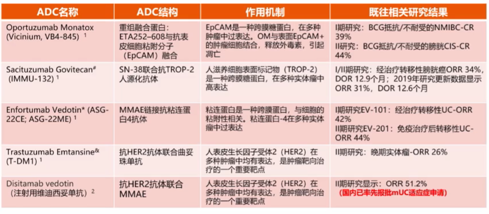 新澳精准资料期期精准24期,新澳精准资料期期精准，探索精准预测的魅力与优势