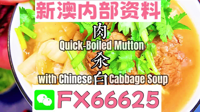 管家婆一码一肖100准,揭秘管家婆一码一肖，精准预测的奥秘