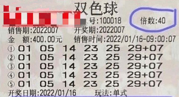 2025新澳门今晚开奖号码和香港,澳门与香港的未来彩票梦想，探索2025新澳门今晚开奖与香港的机遇