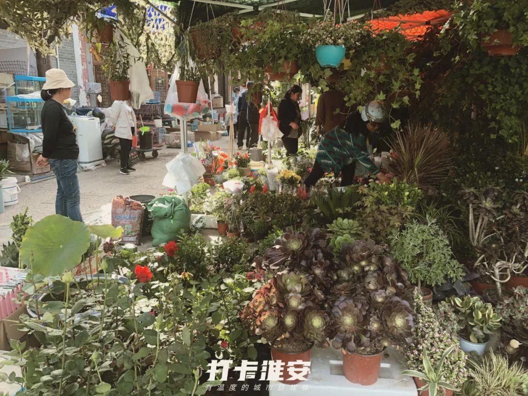 淮安文庙三期最新进展,淮安文庙三期最新进展，重塑历史与未来的融合之美