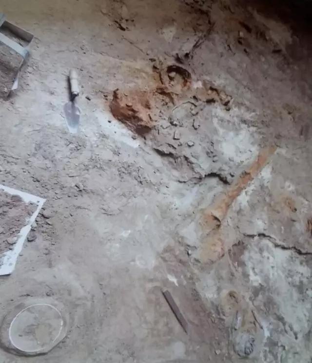 百科 第374页