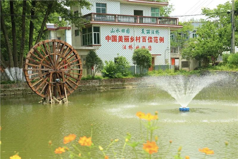 巢湖市柘皋镇最新规划,巢湖市柘皋镇最新规划，打造现代化新城镇的蓝图