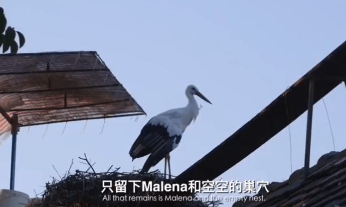 百科 第367页