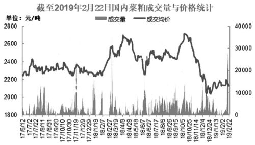 今日菜柏最新价格行情,今日菜柏最新价格行情分析