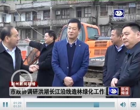 乌林长江大桥最新进展,乌林长江大桥最新进展，跨越时代的雄伟壮丽