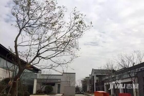 富力乌衣水镇最新消息,富力乌衣水镇最新消息，揭开古镇新面貌的神秘面纱