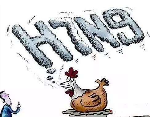 h1n9禽流感最新消息,H1N9禽流感最新消息，全球防控形势与应对策略