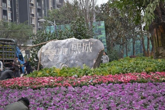 西彭二手房最新消息,西彭二手房市场最新动态