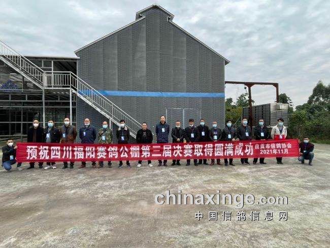 四川福星公棚最新公告,四川福星公棚最新公告，未来规划与重要更新