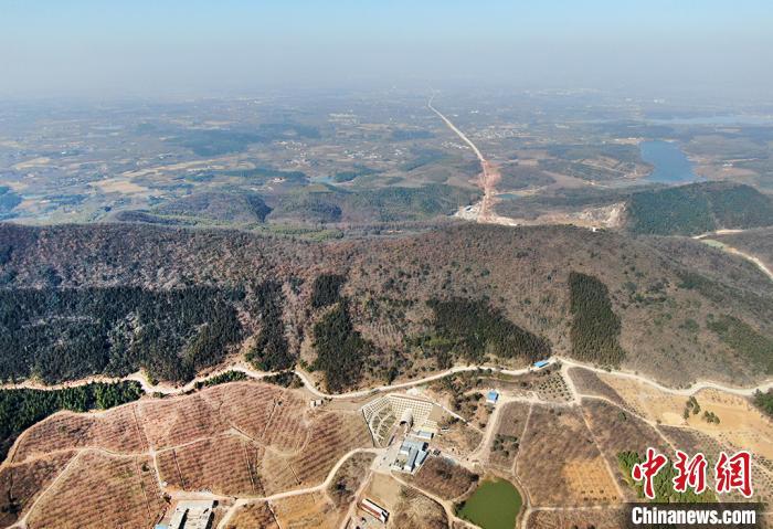 当金山隧道最新消息,当金山隧道最新消息震撼发布