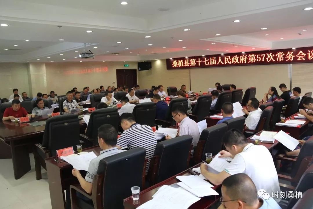 桑植二手房最新消息,桑植二手房市场最新动态解析