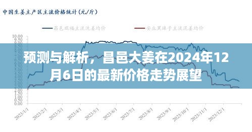 昌邑大姜最新价格表,昌邑大姜最新价格表及其市场动态分析