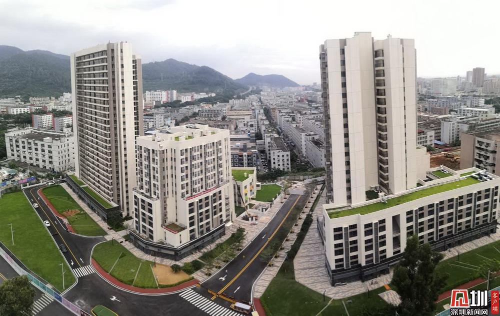 深圳市安居房最新消息,深圳市安居房最新消息全面解读