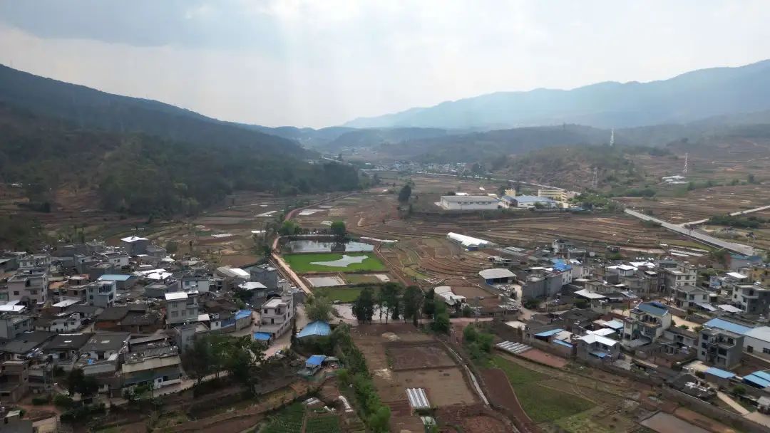 六安三里岗村最新消息,六安三里岗村最新消息，乡村振兴的新篇章