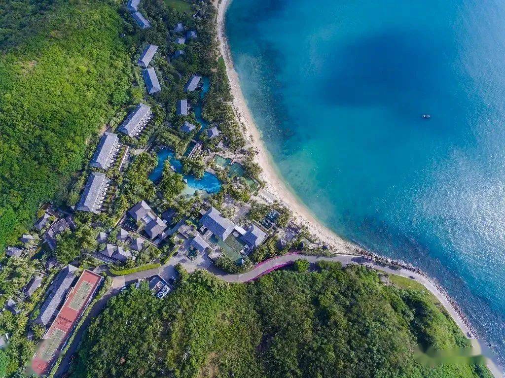 容大东海岸最新消息,容大东海岸最新消息，引领新时代的滨海生活新篇章