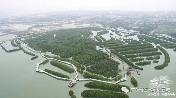 水东湾一号最新消息,水东湾一号最新消息，揭开未来的壮丽篇章