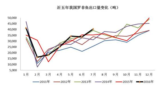 多宝鱼市场最新新闻,多宝鱼市场最新新闻，行业动态与市场趋势分析