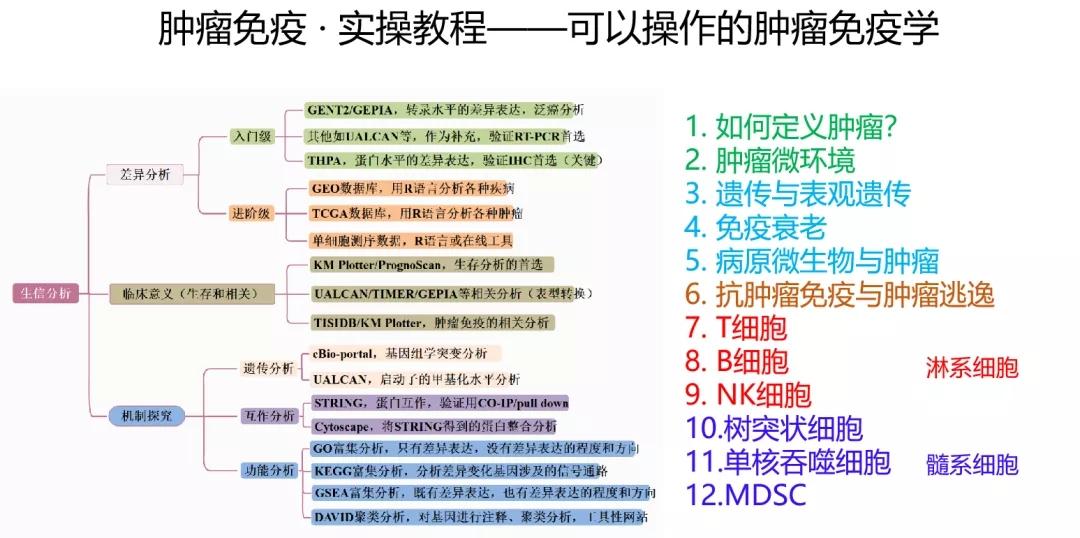 2025澳门资料大全正版资料,澳门正版资料大全，探索2025年的澳门