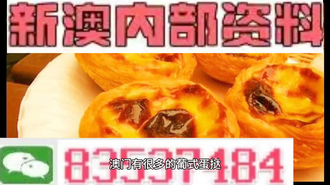 新澳精准资料免费提供最新版,新澳精准资料最新版的免费提供及其重要性