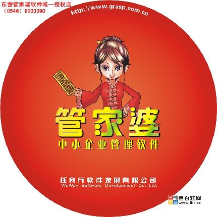 管家婆正版管家,管家婆正版管家的魅力与价值