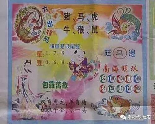 资讯 第248页
