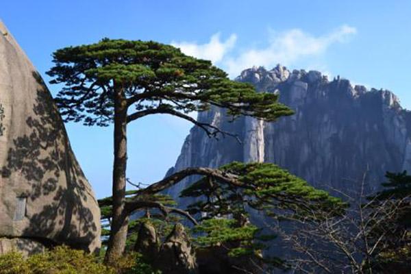 精准一码免费资料大全,精准一码免费资料大全，探索与利用的资源宝库