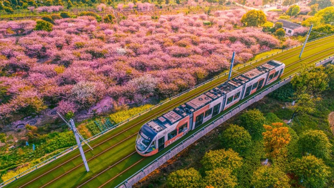2025年新溪门天天开彩,新溪门天天开彩，展望未来的繁荣与活力