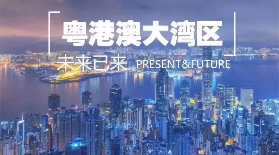 新澳门今晚平特一肖,新澳门今晚平特一肖，探索与期待
