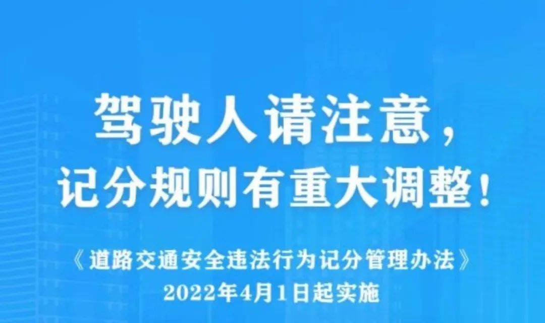 2025新奥今晚开奖记录查询,揭秘新奥彩票，2025今晚开奖记录查询与彩票背后的故事
