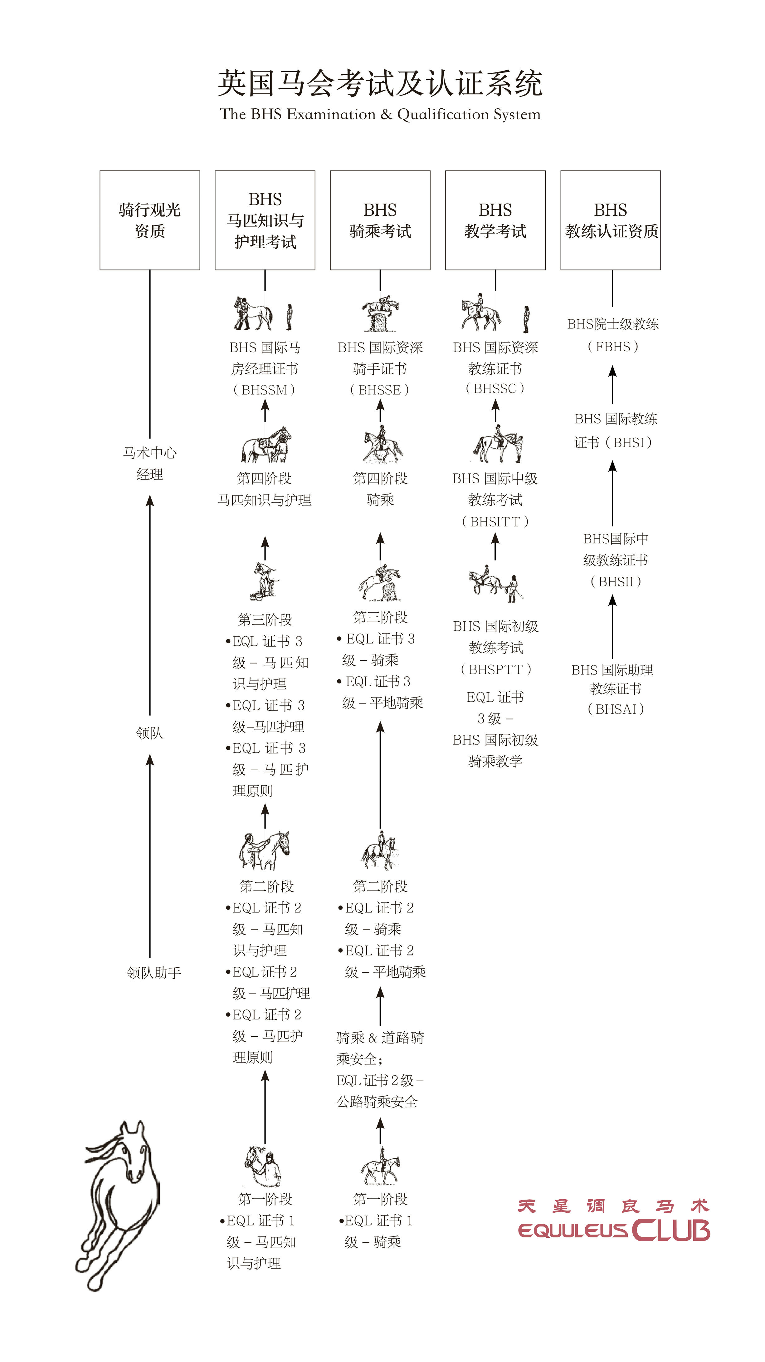 马会传真100%,马会传真100%，探索马术运动中的精准信息传递