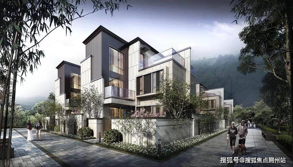新澳2025最新资料24码,新澳2025最新资料解析与运用，探索二十四码世界