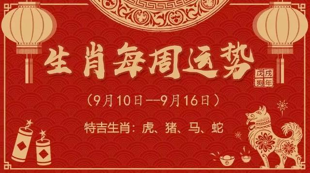 今晚买什么生肖最准确,今晚买什么生肖最准确，揭秘生肖运势与预测的秘密