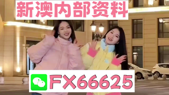 管家婆一码一肖资料大全一语中特,揭秘管家婆一码一肖资料大全，一语中的独特魅力
