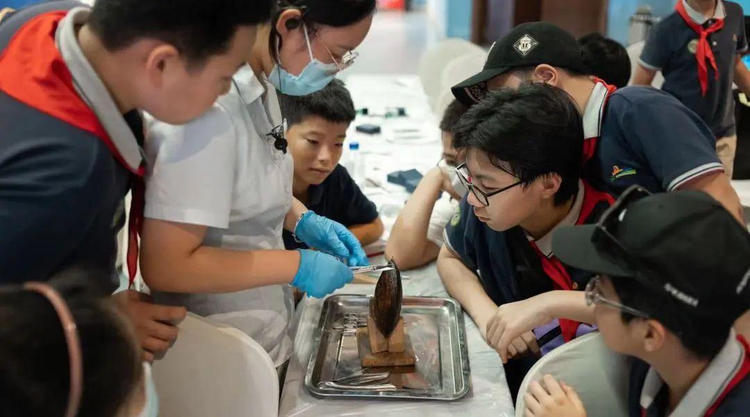 新澳门黄大仙三期必出,新澳门黄大仙三期必出之奥秘与探索